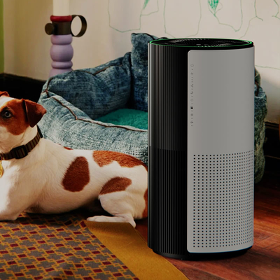 Animal Dander Removal Pet Air Purifier For Cat Allergies Absorption Hair