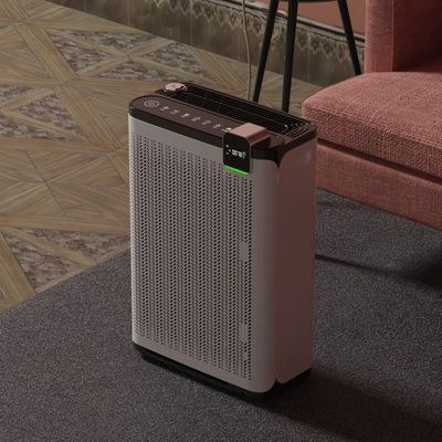 Office Adsorptie Drijvend Haar Huisdier Luchtreiniger Reactieve Zuurstof Voor Huisdieren